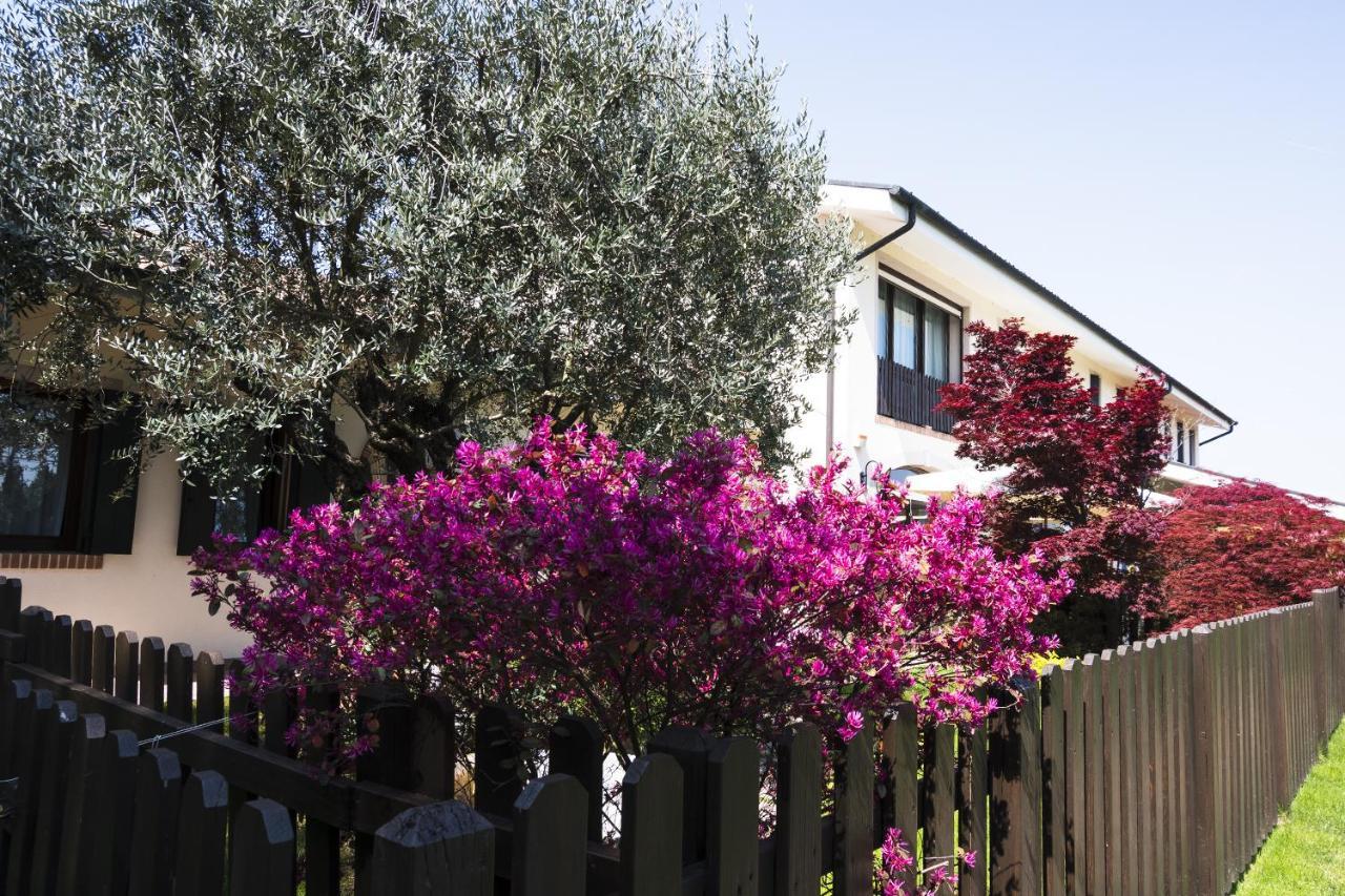 Agriturismo Il Cascinale トレヴィーゾ エクステリア 写真